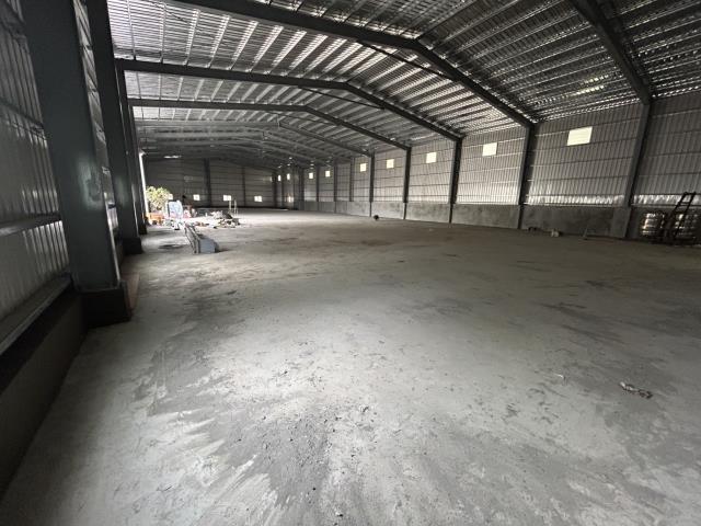 新北樹林廠房-0