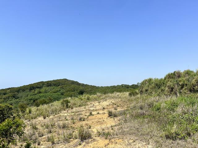 苗栗工業地-1